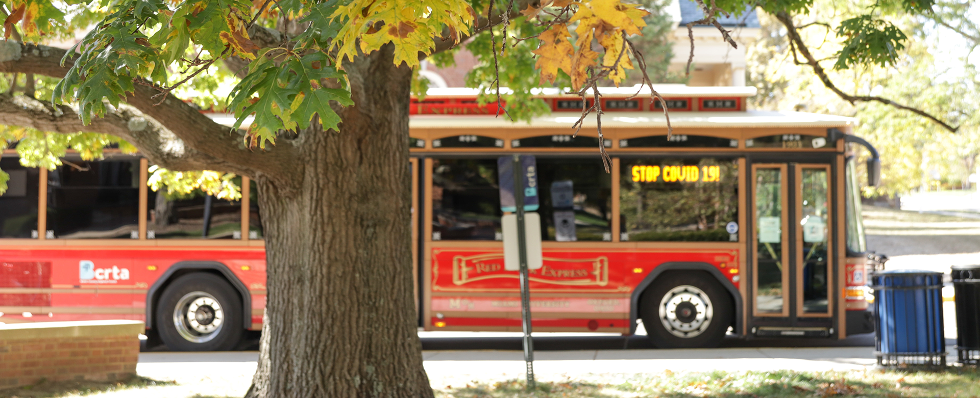 Trolley under Fall tree with 